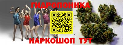 герыч Донецк