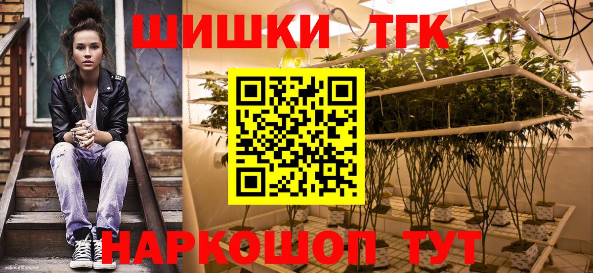 Бошки Шишки планчик Тулун